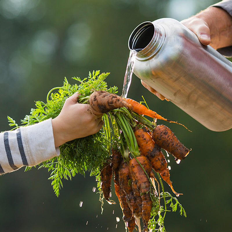 64oz-wide-with-loop-cap-l8 64oz_wide_mouth_bottle_carrots_rinse_square.jpg