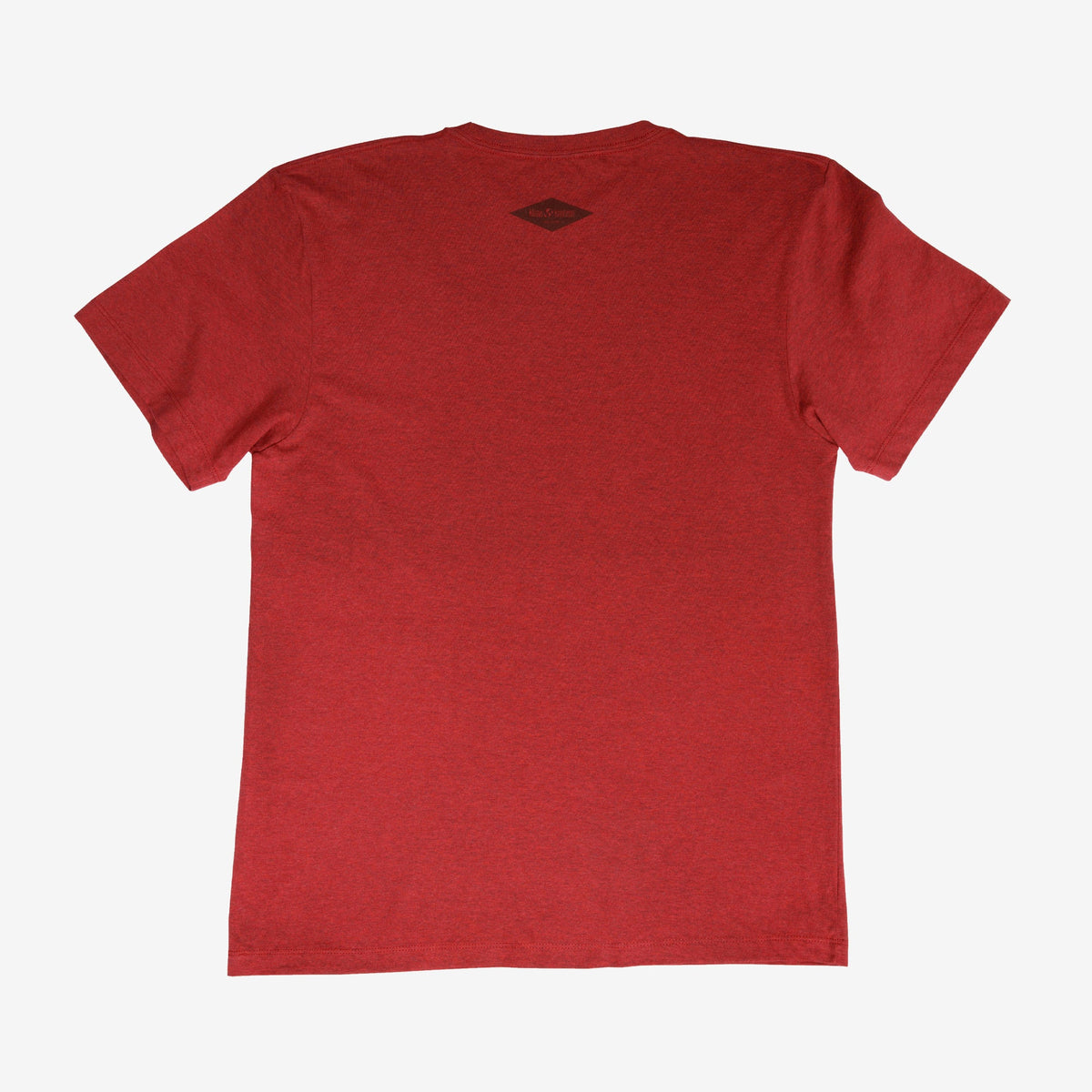 backyard-t-shirt-o3 Shirt_Mtn_Back.jpg